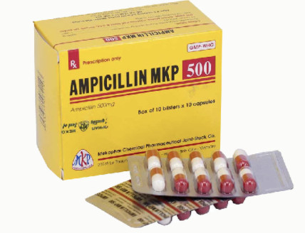 Ampicillin MKP 500